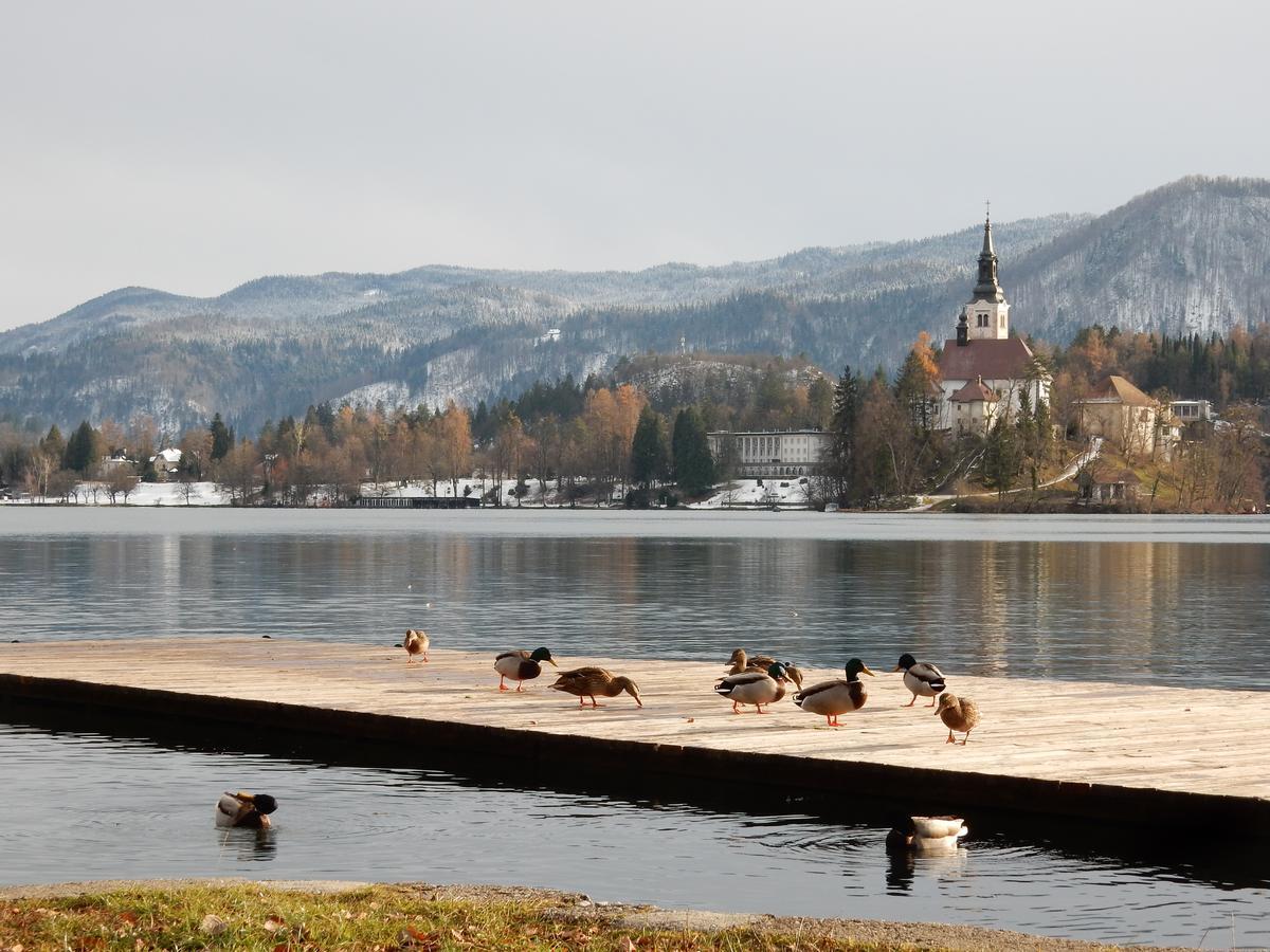 Lake House Sebanc Bled Exteriér fotografie